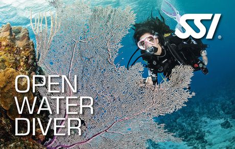 SSI open water diver